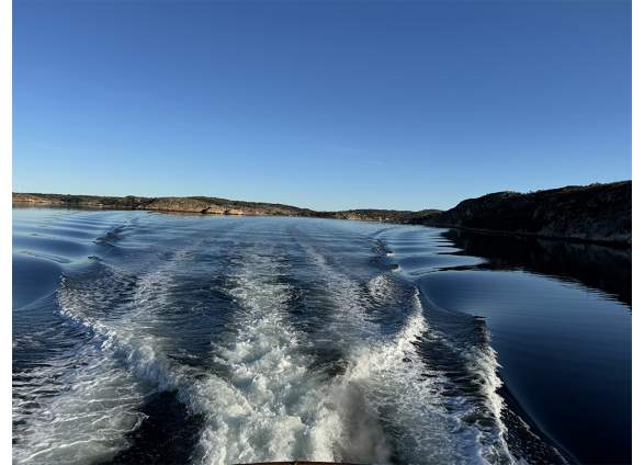 2026-03/14-island-gypsy-32-ex